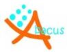 Abacus Computer Academy